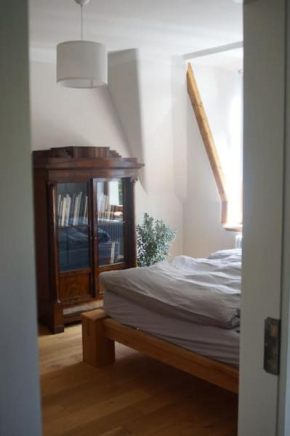 NEU-Stadtnahe Biedermeierwohnung